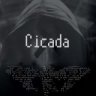 Cicada